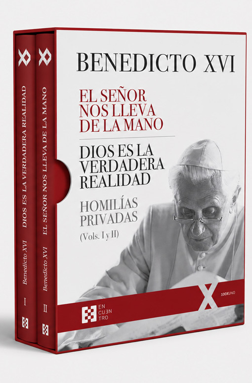 PACK HOMILÍAS PRIVADAS (2 LIBROS)