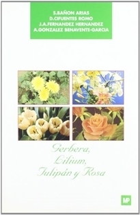 GERBERA , LILIUM, TULIPÁN Y ROSA