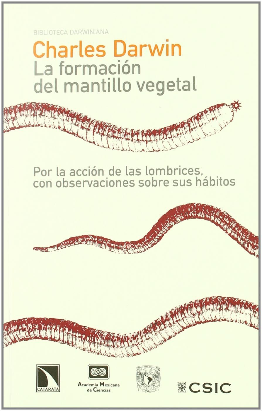 LA FORMACIÓN DEL MANTILLO VEGETAL