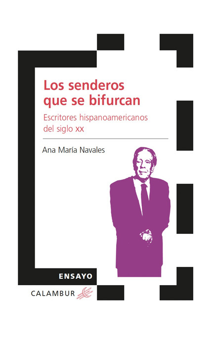 LOS SENDEROS QUE SE BIFURCAN. ESCRITORES HISPANOAMERICANOS DEL SIGLO XX