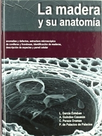 LA MADERA Y SU ANATOMÍA: ANOMALÍAS Y DEFECTOS