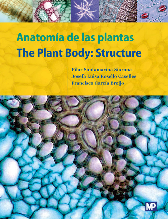ANATOMÍA DE LAS PLANTAS/THE PLANT BODY: STRUCTURE